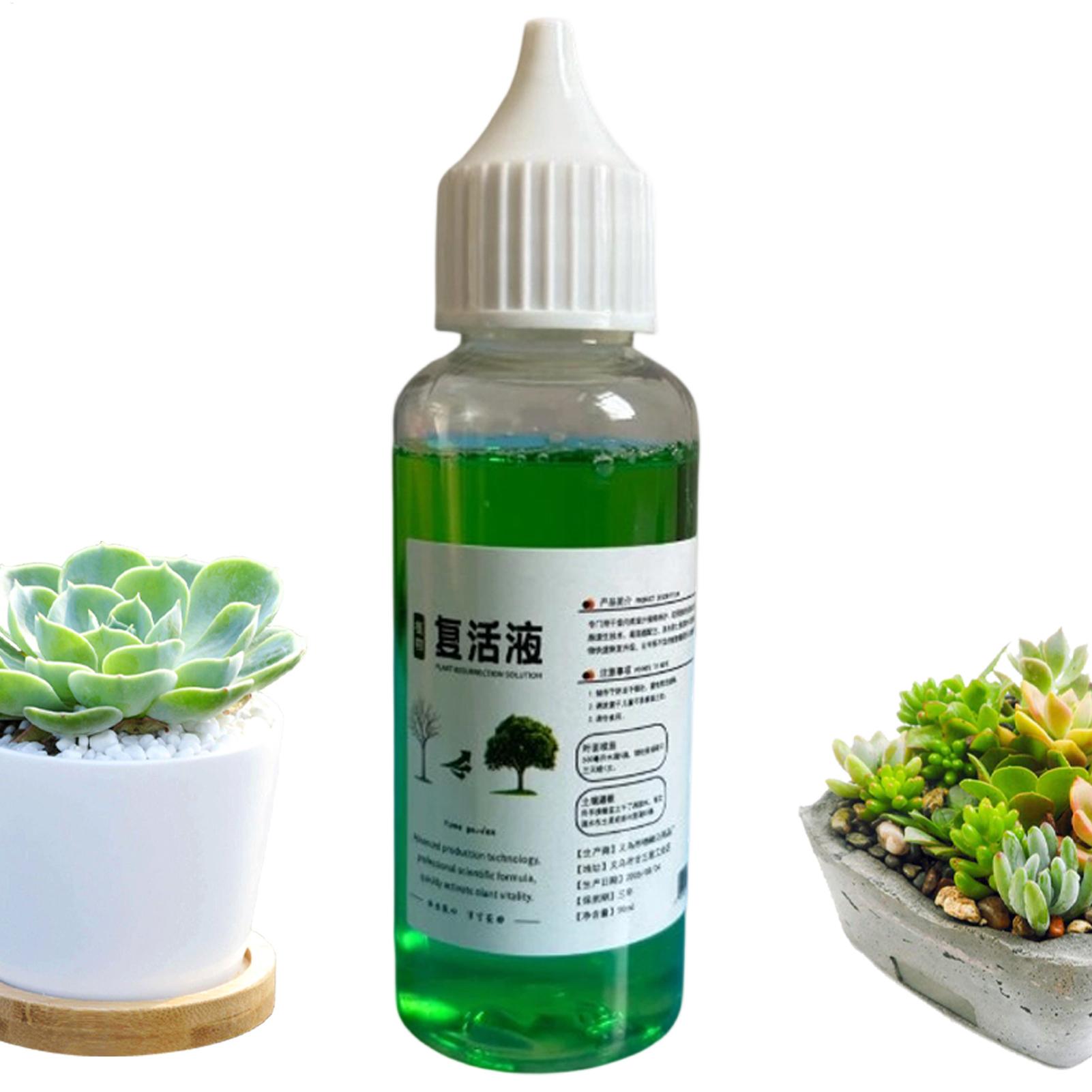 Estimulador de Raízes para Pla - Root Stimulator Liquid avaliação e preço